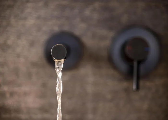 Hotel Victoria Palace